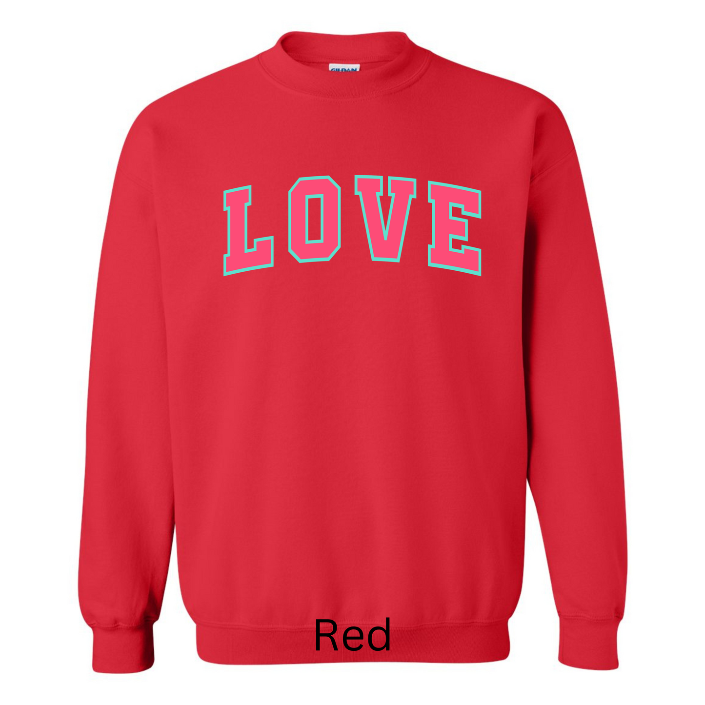 Valentine’s Sweatshirt Pink with Blue Outline Love