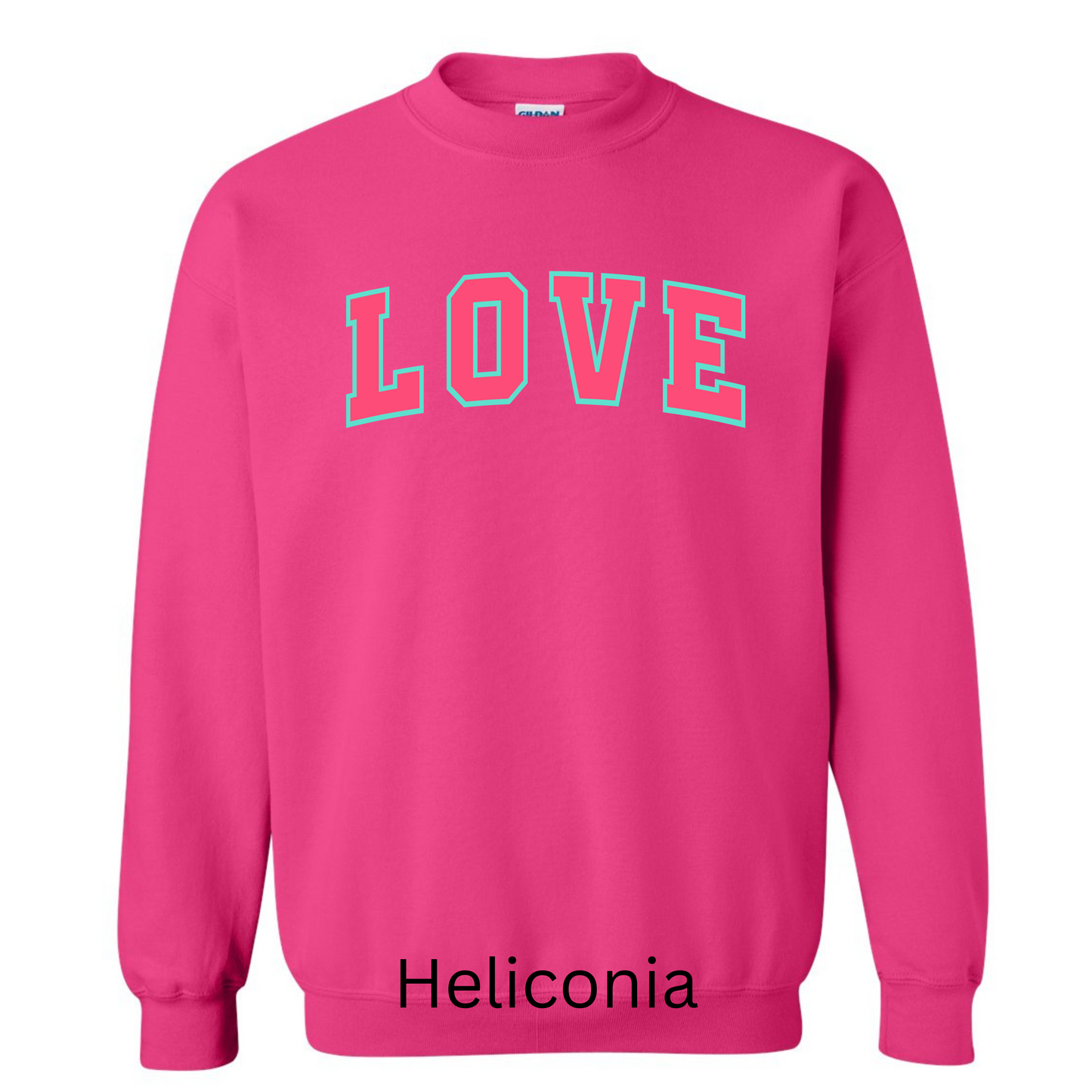 Valentine’s Sweatshirt Pink with Blue Outline Love
