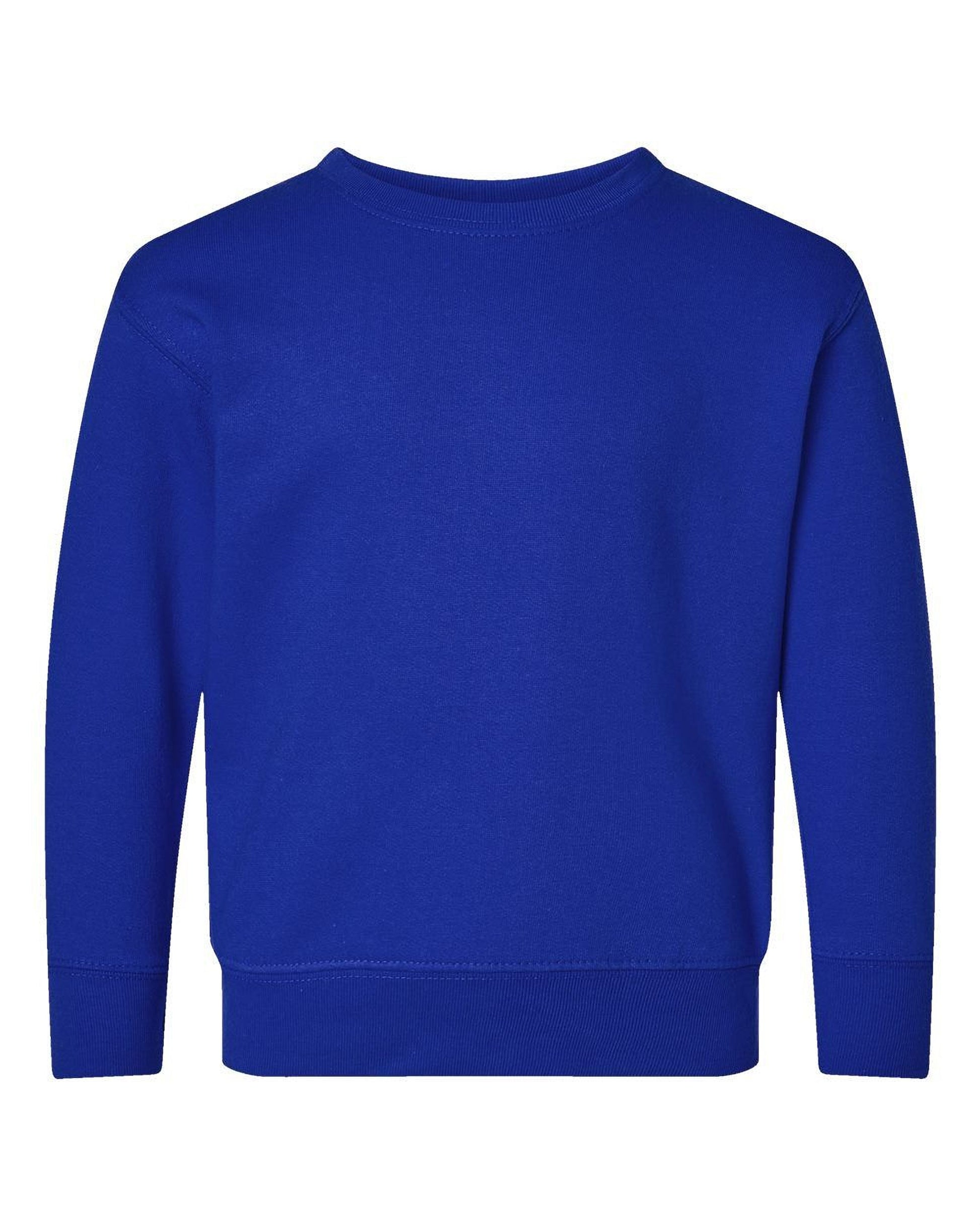 A plain, solid blue long-sleeved sweater.