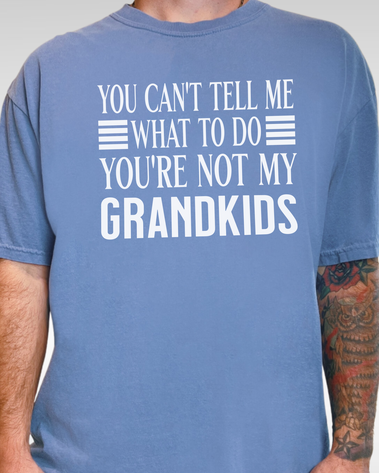 Funny Grandpa Shirt, You’re Not My Grandkids Shirt, Comfort Colors Grandpa Tee, Papa Shirt, Pops Gift, Father’s Day Shirt